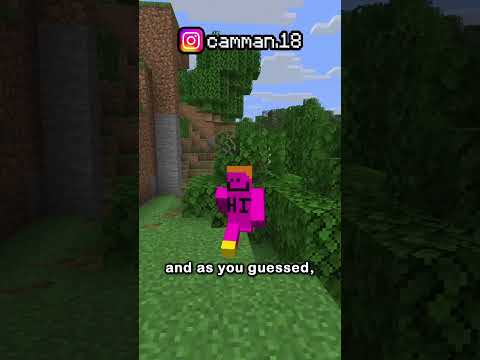 you can see through lava with F3