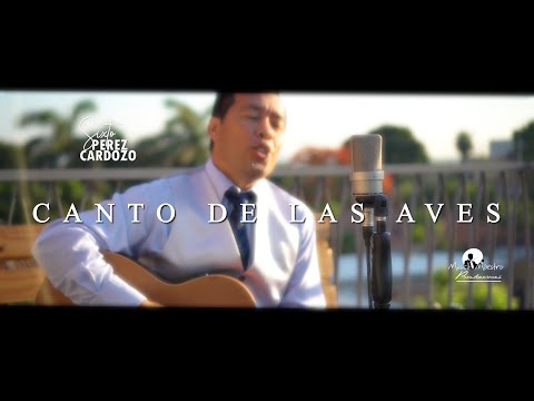 Sixto Pérez Cardozo - Quisiera Volar