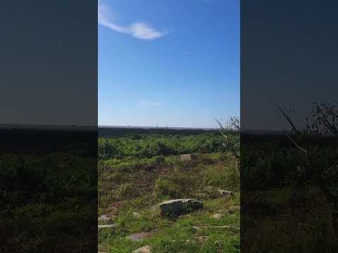La costa de San Isidro Buenos Aires #paisajesurbanos #costanera