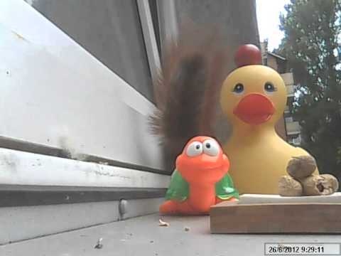 Willi und Feuchti - ein starkes Team.