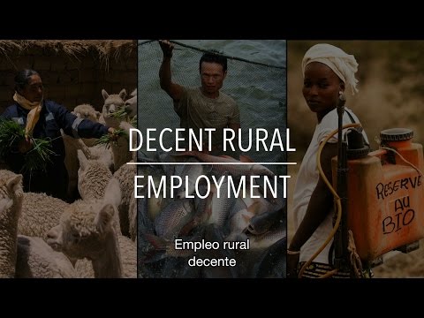 Empleo rural decente (con subtítulos)
