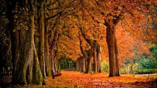 Thirteen Senses - Gone.wmv