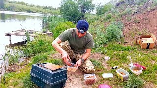 Запрещена ловля карпа на бойлы весной