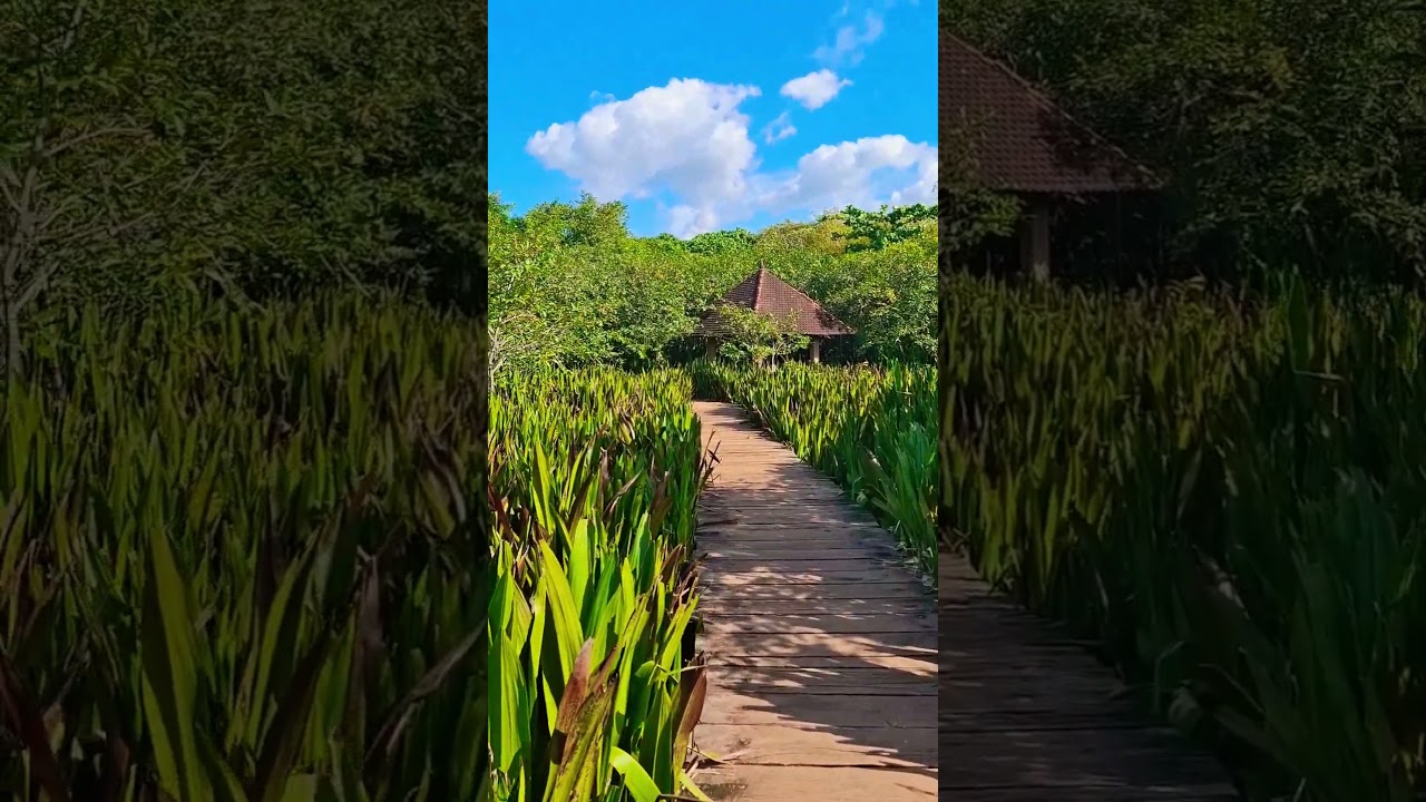 YouTube Short thumbnail