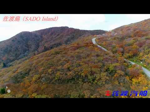 【佐渡空撮】大佐渡スカイラインの紅葉