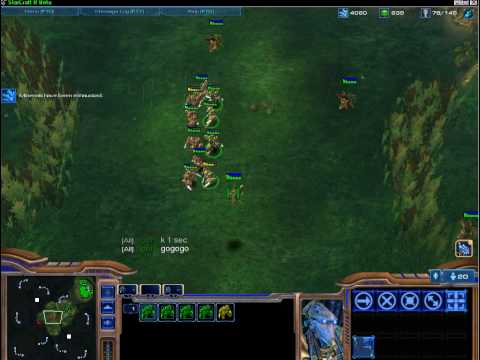Sc2 Fights! [Round 2] Zealot (5v5 Attack-Moved)