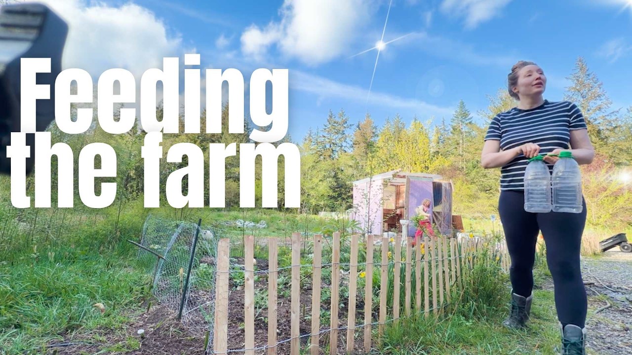 Costco Haul for a Busy Farmstead Family | Spring Edition