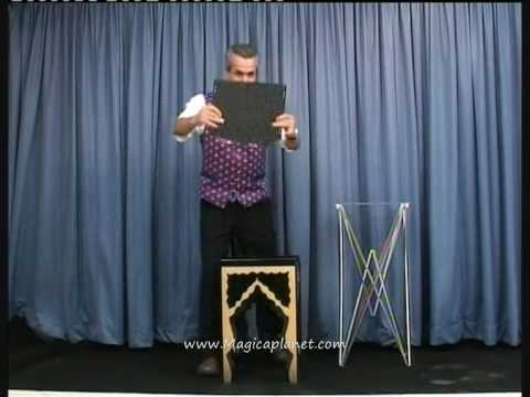 vanishing rabbit and dove