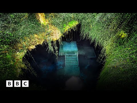 Diving into Florida’s prehistoric cave of Ice Age secrets | BBC Global