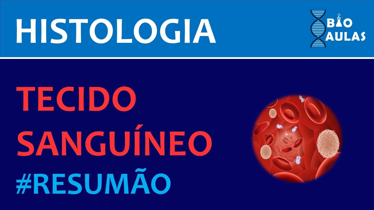 Tecido Sanguíneo (Histologia) - Resumo do Instagram @BioAulas