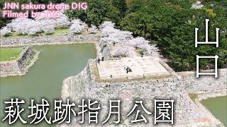 萩城跡指月公園