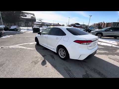 2023 Toyota Corolla Hybrid LE CVT AWD in White for sale at Boyer Pickering Chevrolet Cadillac Buick GMC Ltd. in Pickering, ON