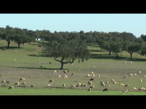 I campanacci dell'Alentejo in Portogallo patrimonio dell'Unesco