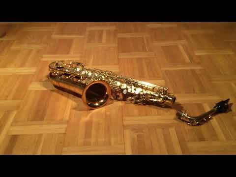 Tierps kulturskola: Film om saxofon