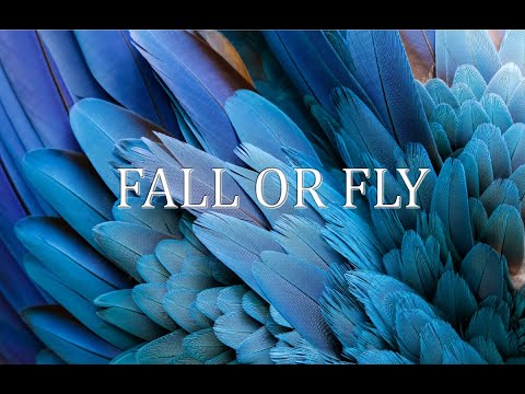 Fall Or Fly