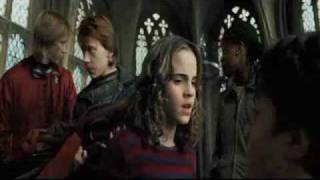 We are Gonna Happen - Ron and Hermione