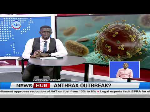 Anthrax Outbreak in Vihiga Leaves One Dead, Over 200 Exposed After Contaminated Meat