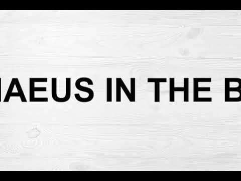 How To Pronounce Timaeus In The Bible