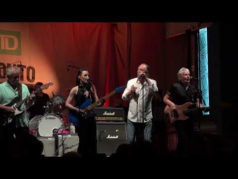 Downchild Blues Band - Mississippi Woman, Mississauga Man - Live TJF Yorkville 2019