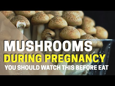 Mushrooms During Pregnancy – Safe or Unsafe? Benefits & Risks Explained!