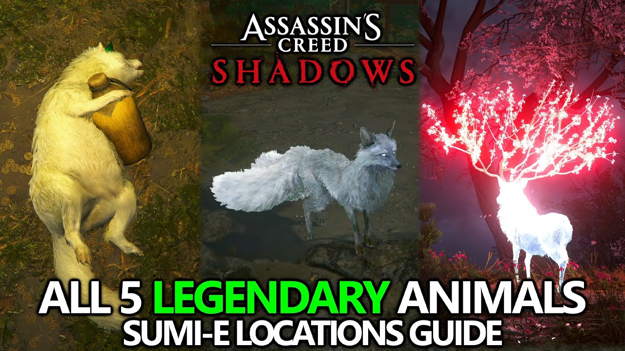 Assassin's Creed Shadows - All 5 Legendary Animals (Sumi-e) Locations Guide - YouTube