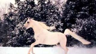 Celtic Legend-White Horse