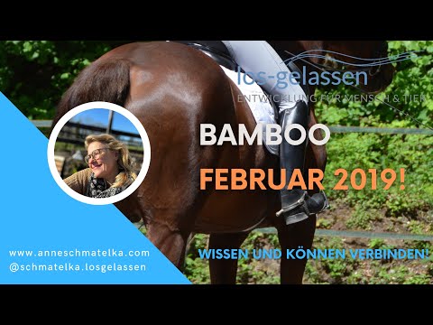 Pferdegeschichten | Bamboo Februar 2019
