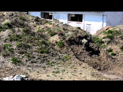 Elita Łysy ASG Susz - Falknowo