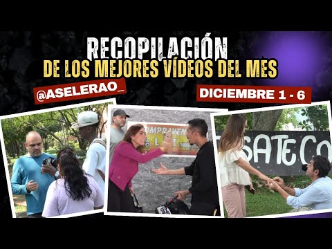 Compilation of the best videos of the week