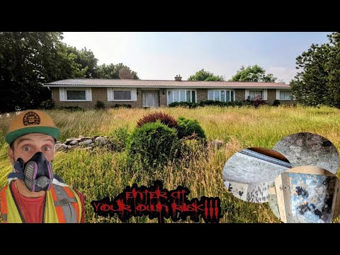 Wunderschöner verlassener Bungalow im Obergeschoss, tödlicher schwarz-weißer Kristallschimmel im ...