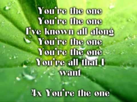 You're the One lyrics - Heaven Gates