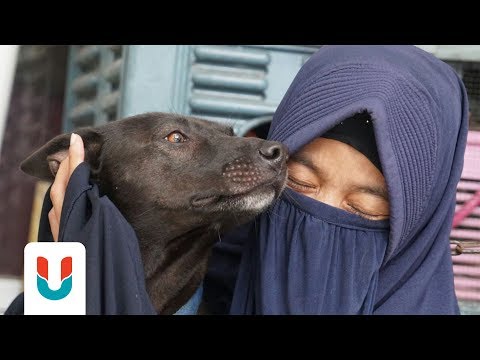 Merangsang obat untuk wanita, hambar dan tidak berbau Ini membantu memperbesar ukuran penis Anda hingga