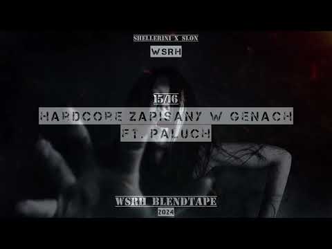 [15/16] WSRH - Hardcore zapisany w genach ft. Paluch | Madness Blend (WSRH Blendtape 2024)