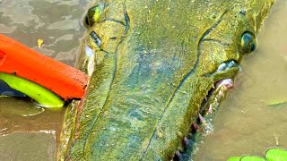 Tagging Alligator Gar With @The Fish Whisperer
