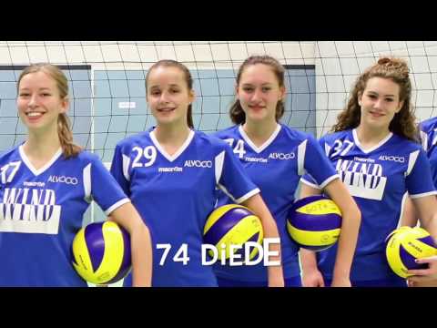 Presenting ALVOCO IVTA 2017