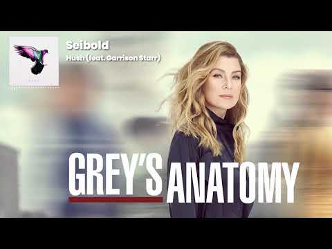 Seibold - “Hush (feat. Garrison Starr)” [Used in ABC's Grey's Anatomy Season 16, Episode 1]
