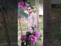 Md Nazrul Islam