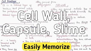 Cell Envelope | Bacteria Slime | Capsule | Cell Wall