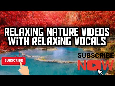 Relaxing Nature Videos For Relaxing Sleep with Halal Relaxing Vocals / TheEducationalside