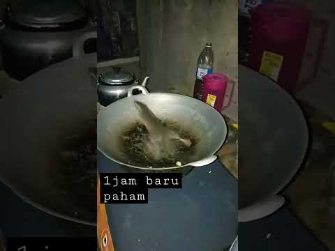 fried mouse alias tikus goreng😣😣😂