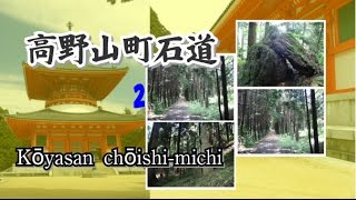preview picture of video '高野山町石道2 [Koyasan Choishimichi - latter half ]'