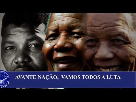 BAMBAS DA ORGIA 2018 - SAMBA CAMPEÃO