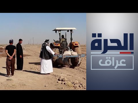 شاهد بالفيديو.. مزارعو ديالى يطالبون بتعديل الخطة الزراعية الشتوية