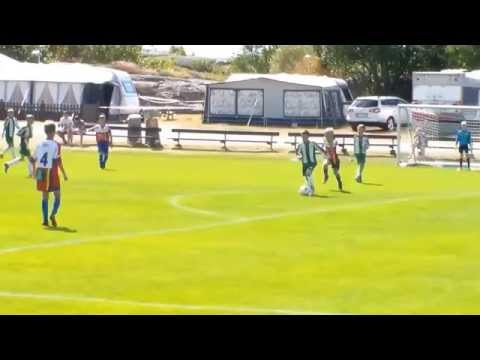 HAMMARBY IF VIKTOR 2014