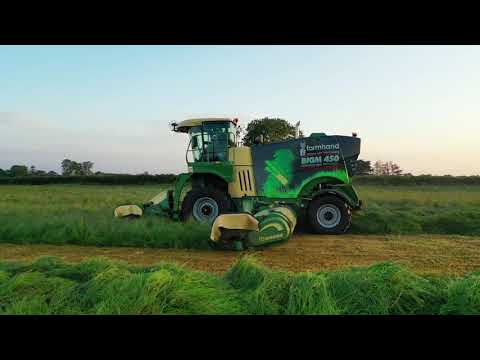 Krone BigM450 Mowing Heavy Irish First Cut 2019