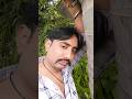 Phool Kali Chand Shortvideo Song Explore Love Viralsong 90shindisongs