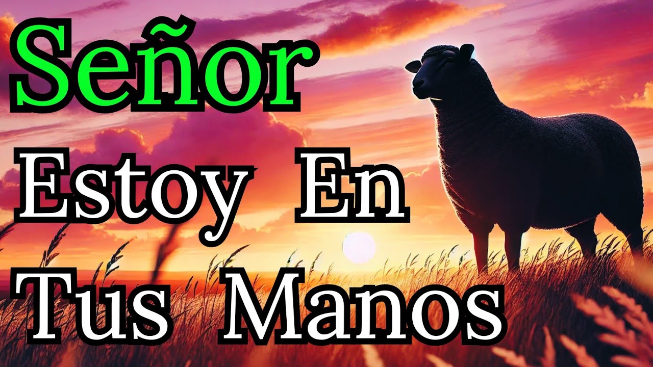 🍁"Señor, Soy Tu Oveja Perdida, Llévame en Tus Brazos" | Reflexión, Oración, Fé, Biblia .