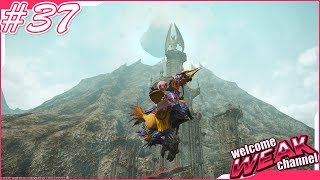 【FAINAL FANTASY XIV】蒼天のイシュガルド#37