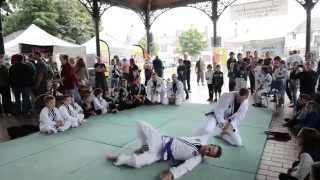 preview picture of video '2014-09-06 - Démonstration Hapkido JJK Orléans (Jargeau)'