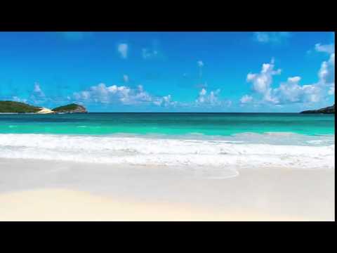 Beach Video